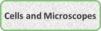 Cells and Microscopes