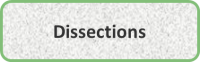 Dissections