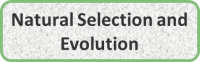 Natural Selection and Evolution