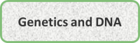 Genetics and DNA
