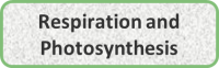 Respiration and Photosynthesis